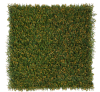 360-F1G 360 F1G BOXUS HOLANDES 1M