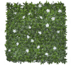 360-F1Q 360 F1Q PETUNIA BLANCA 1M