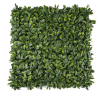 360-F1A 360 F1A LAUREL DE LA INDIA 1M