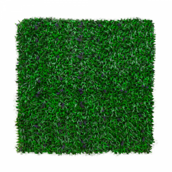 360-F1Z 360 F1H LAVANDA SILVESTRE 1M