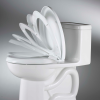 02 5321A65CT.020 ASIENTO CHAMPION CIERRE LENTO BLANCO