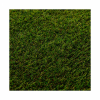 460 PASTO SINTETICO BERMUDA 27 OZ 3.70
