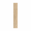 124 PISO PORCELANICO 19.3X119R BIOLOGY MAPLE MATE 1.38 M2 