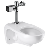 55 COMBO DE WC CON FLUXOMETRO ELECTRONICO DE BATERIAS 24601450