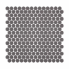 PENNY NATUREGLASS DARK GREY MATE
