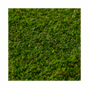 460 PASTO SINTETICO VALLEY 32