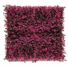 360 FOLLAJE ABELIA ROSA F1BB