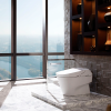 DESC Sanitario inteligente Washlet 700H blanco asiento incluido 3/3.8lts Toto pza