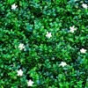 360-F10 360 F10 FLOR DE LIS 1M