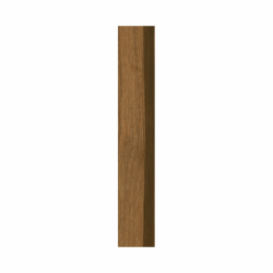 124 19.3X119 BIOLOGY WALNUT 1.38