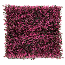 360 FOLLAJE ABELIA ROSA F1BB