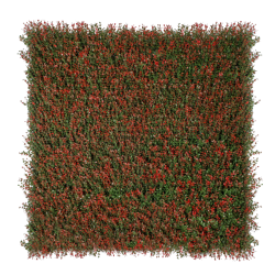 360-F1N 360 F1N BOXUS CHERRY 1M