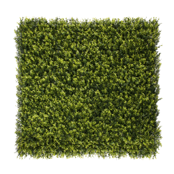 360-F1B 360 F1B BOXUS MIX 1M