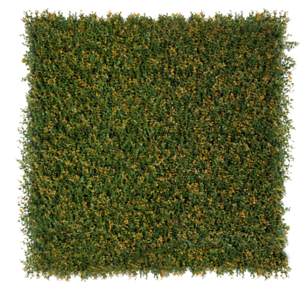 360-F1G 360 F1G BOXUS HOLANDES 1M