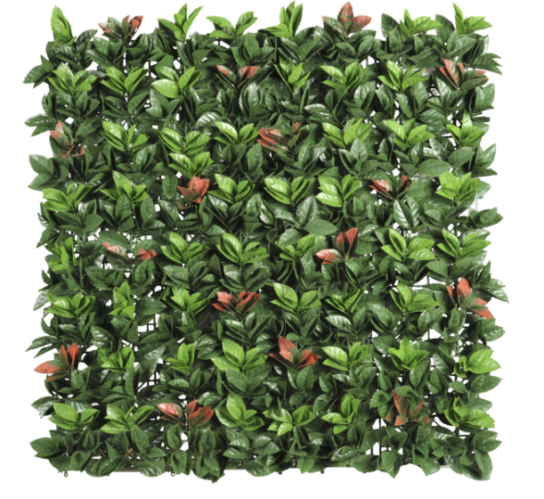 360-F1F 360 F1F LAUREL ROJO 1M