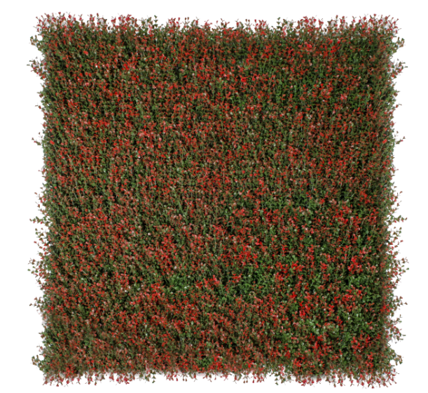 360-F1N 360 F1N BOXUS CHERRY 1M
