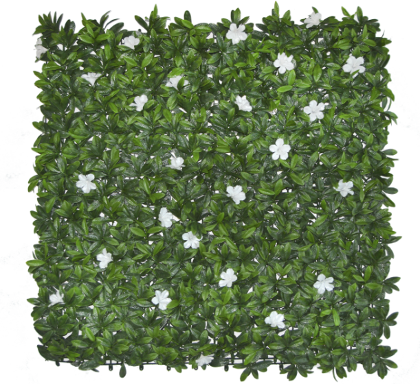 360-F1Q 360 F1Q PETUNIA BLANCA 1M