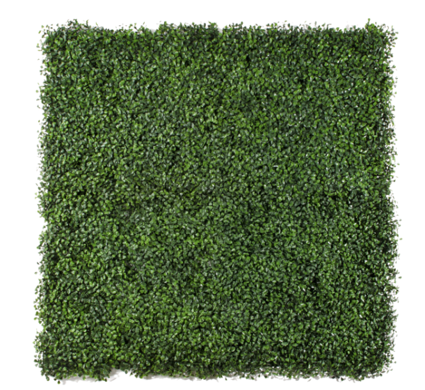 360-F1C 360 F1C BOXUS JADE 1M