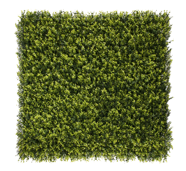 360-F1B 360 F1B BOXUS MIX 1M